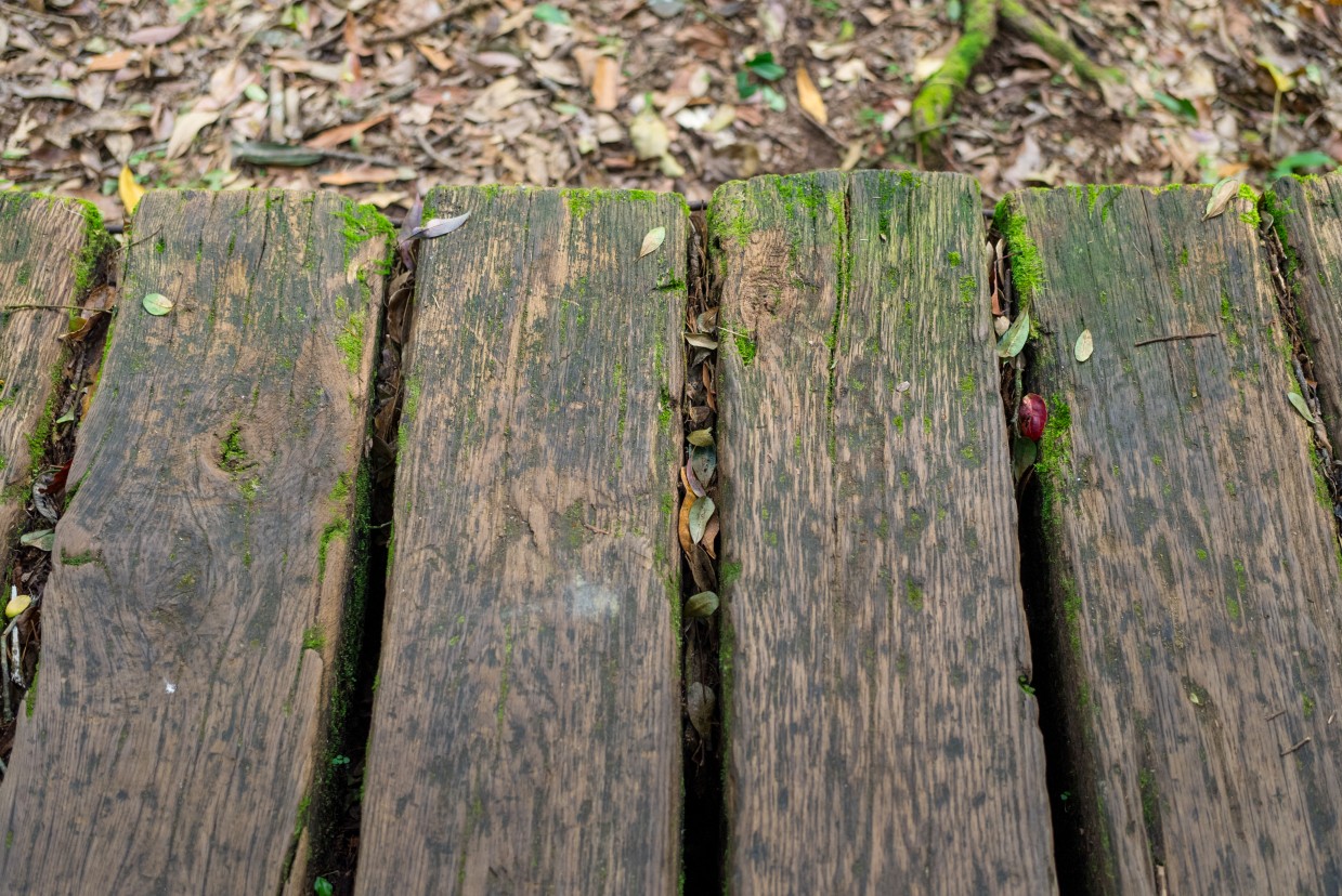 Deck Rot